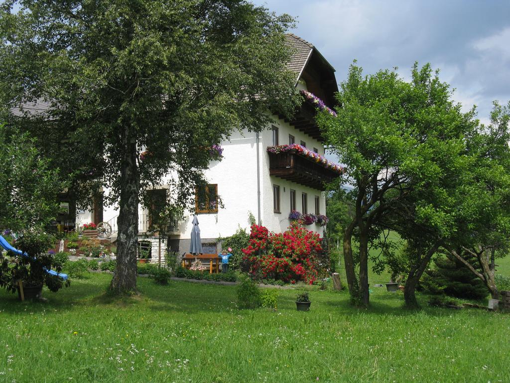 Haus Pfarrkirchner Apartment Mauterndorf  Exterior foto
